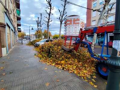 El PSOE alerta de una “demolición ambiental” en Talavera por las podas drásticas