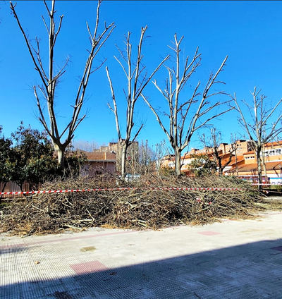 Patrimonio natural convertido en vandalismo institucional