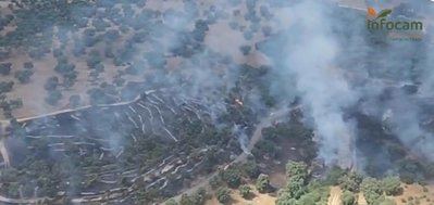Extinguido el incendio declarado en Méntrida (Toledo)
