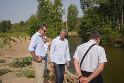 La recuperación del Alberche avanza con la restauración de seis kilómetros de cauce
