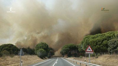 Un incendio forestal obliga a evacuar y confinar dos urbanizaciones en Almorox