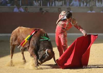 David Gutiérrez, protagonista de la gran final del XI Alfarero de Plata