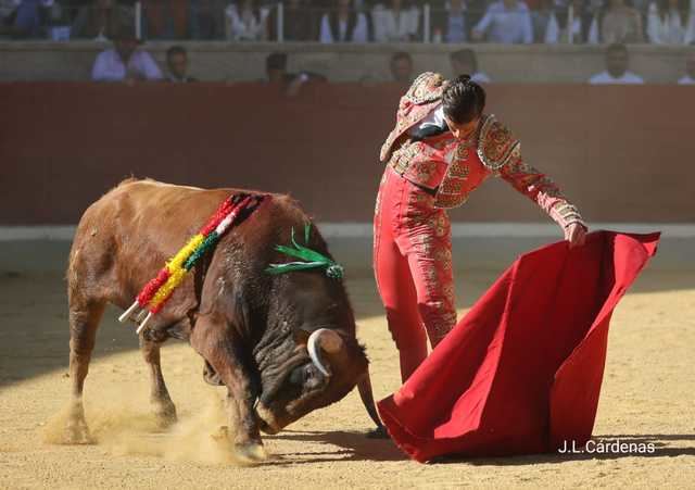 David Gutiérrez, protagonista de la gran final del XI Alfarero de Plata