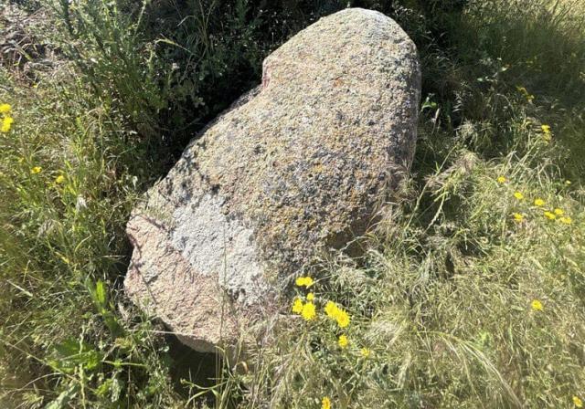 Menhir derrumbado en Gamonal