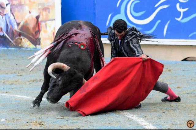 Morenito de Aranda deslumbra en la Goyesca Azul con una faena de ensueño