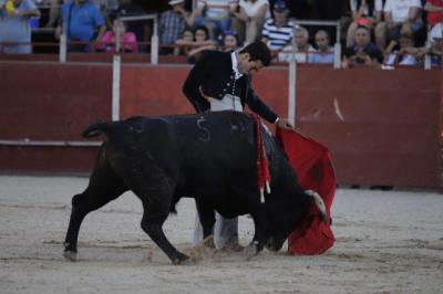 Olías del Rey celebra un exitoso festejo taurino: 10 orejas y un gran Tomás Rufo