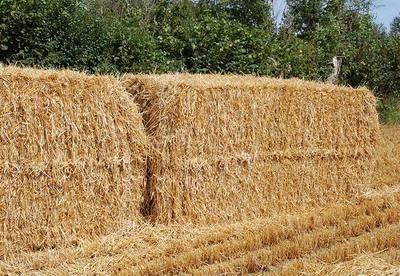Fallece un joven de 27 años tras caerle encima dos pacas de paja de 200 kg