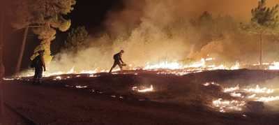 Confinan de manera preventiva El Arenal por el avance del fuego en Ávila