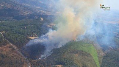 Seis medios terrestres trabajan en la extinción de un incendio en Salobre