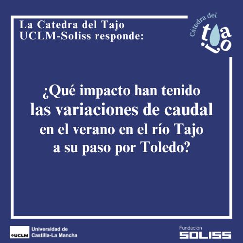 El río en Toledo sufre altibajos de agua que afectan al ecosistema