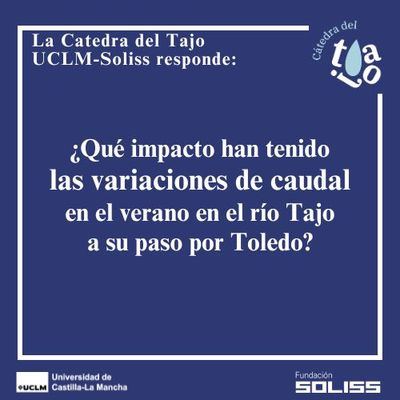 El río en Toledo sufre altibajos de agua que afectan al ecosistema