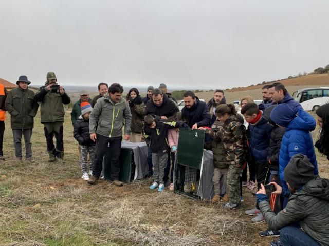 Dos nuevos linces, ‘Queso’ y ‘Quirina’, en los Montes de Toledo