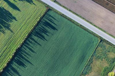 La Junta adquiere más de 24.700 documentos fotográficos para su archivo cartográfico