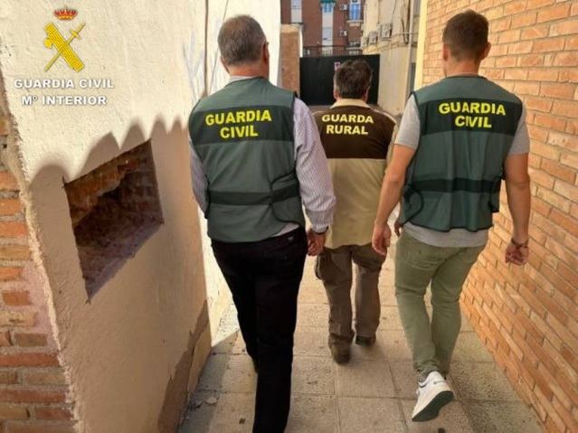 Detenido el guarda de un coto de caza por matar de un disparo un águila imperial ibérica