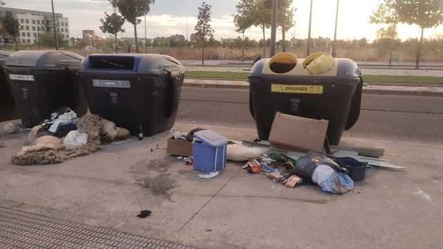Vecinos alertan sobre el mal olor causado por una piel de oveja en plena calle