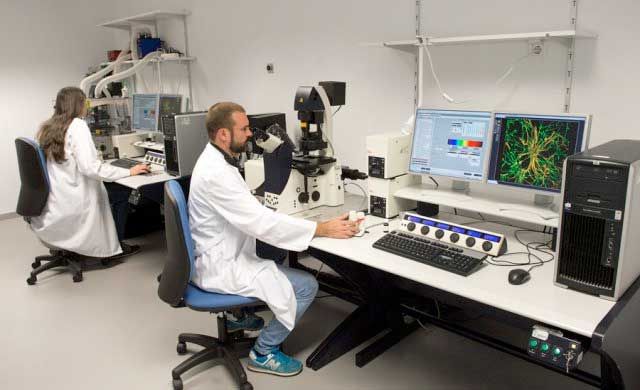 Parapléjicos gestionará el presupuesto de investigación
