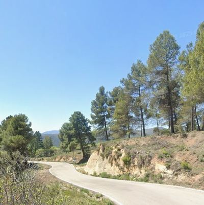 Herido un ciclista de 67 años tras caer por un puente a un zarzal