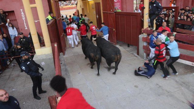 Castilla-La Mancha reivindica la tauromaquia como parte de su identidad