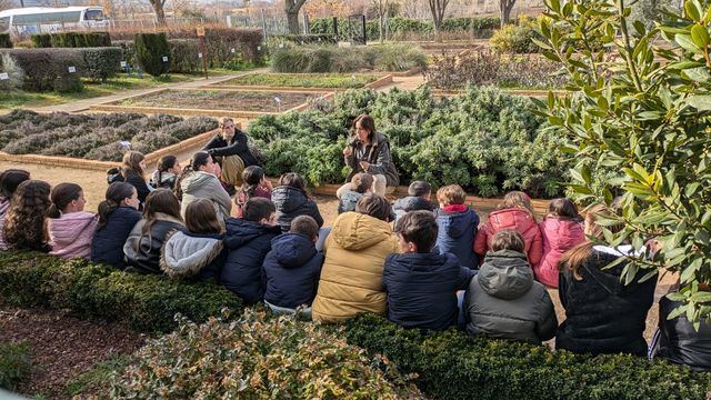 El Vivero Educativo Taxus: Dos décadas formando y sembrando futuro en la provincia de Toledo