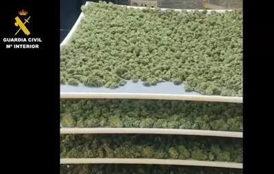 Detenidas nueve personas por tráfico de drogas y pertenencia a grupo criminal en Yuncler 