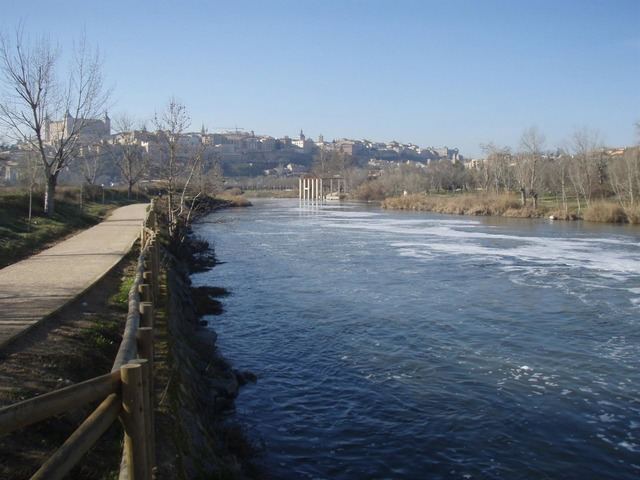 La Cátedra del Tajo ve en la actividad hidroeléctrica de dos estaciones la posible causa de la bajada del caudal en Toledo
