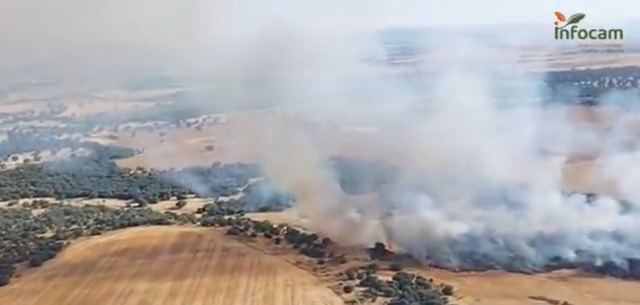 Controlado el incendio forestal en Calera y Chozas tras una intensa labor de extinción