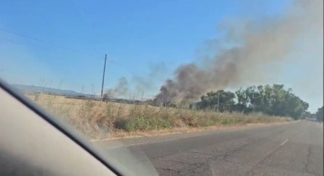 Nuevo incendio forestal en Calera y Chozas: 9 medios y 39 efectivos movilizados