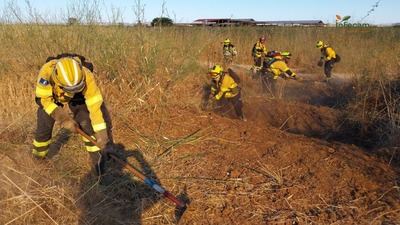 Ya ha sido extinguido el incendio forestal en Calera y Chozas