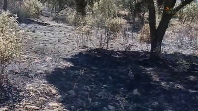 Desalojan una zona de ocio por el incendio forestal declarado en Cazalegas