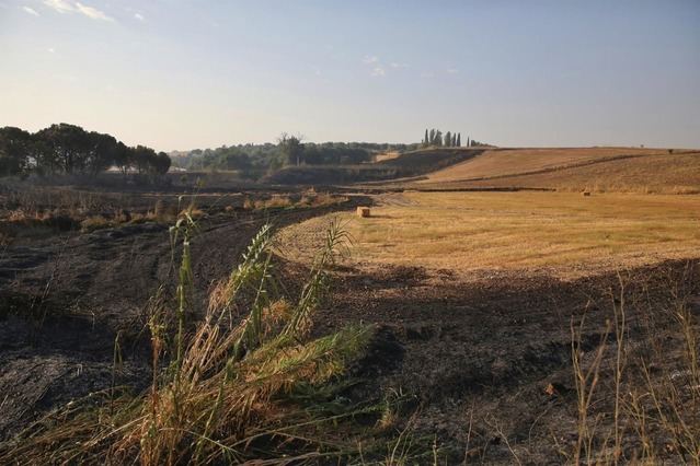 García-Page, optimista ante la mejoría de los incendios de C-LM, agradece el trabajo de servicios de extinción