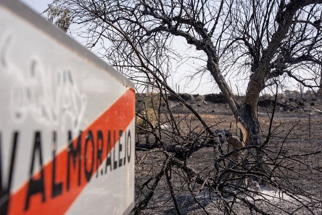 Extinguido el incendio iniciado el pasado lunes en Navalmoralejo