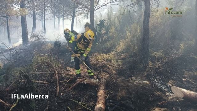 CLM moviliza 5 medios aéreos y 18 efectivos para colaborar en tres incendios en Cáceres, Badajoz y Salamanca