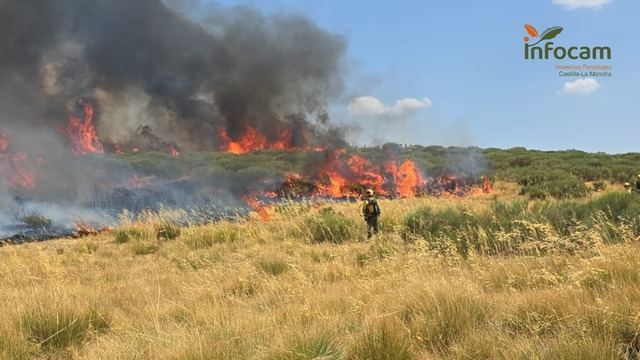 CLM envía bomberos forestales y maquinaria pesada para apoyar en los incendios de Galicia