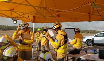 Controlado el incendio de El Casar de Escalona declarado este domingo