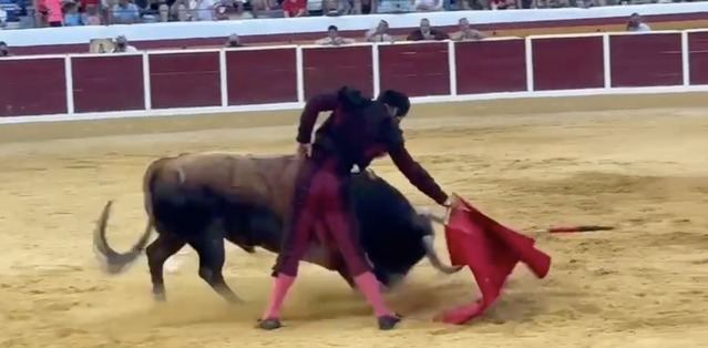 Morenito de Aranda, rotundo en Añover con una puerta grande de tres orejas
