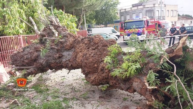 Retiran un árbol caído sobre el muro de una vivienda en Talavera