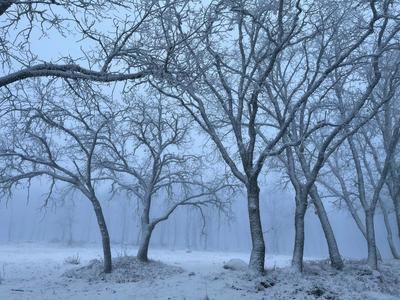 Reabierta la carretera TO-1375 tras el paso de la borrasca Ingrid