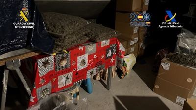 Desmantelan una red criminal que enviaba marihuana a Europa escondida en fruta