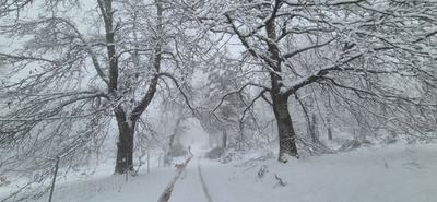 Kristin golpea la región: canceladas casi 90 rutas escolares y decenas de centros con daños