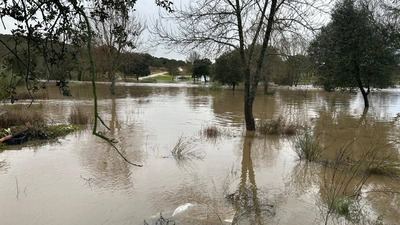 Las fuertes lluvias de la borrasca Leonardo inundan Segurilla y el Gran Chaparral en Pepino