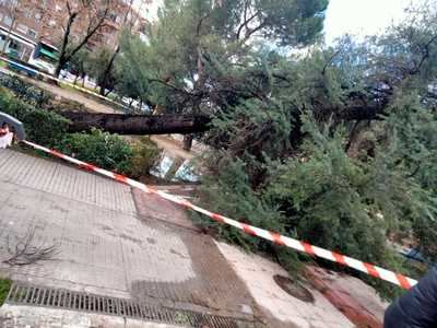 Talavera activa el plan de emergencia por la crecida del Tajo y el temporal