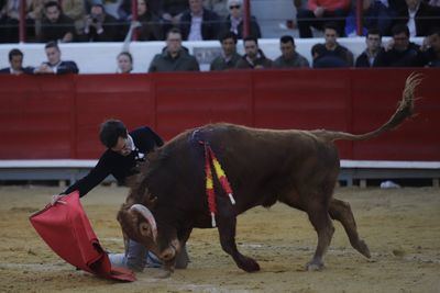 Rufo indulta a ‘Carcelero’ y firma la cima del festival taurino de Bargas