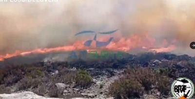 Continúa activo el incendio forestal en Losar de la Vera, que afecta a 490 hectáreas