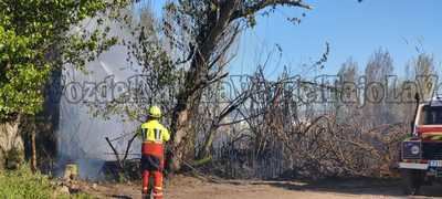 Un incendio en un camino de Talavera pone en riesgo viviendas y tendido eléctrico