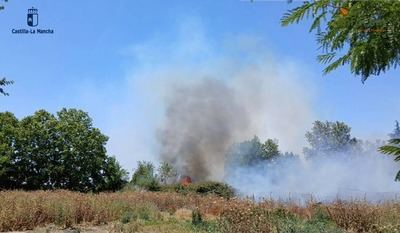Atención: Nuevo incendio de vegetación en Talavera