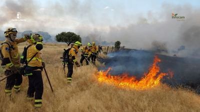 Controlado y extinguido un incendio de pastizal en Lagartera tras una intensa intervención