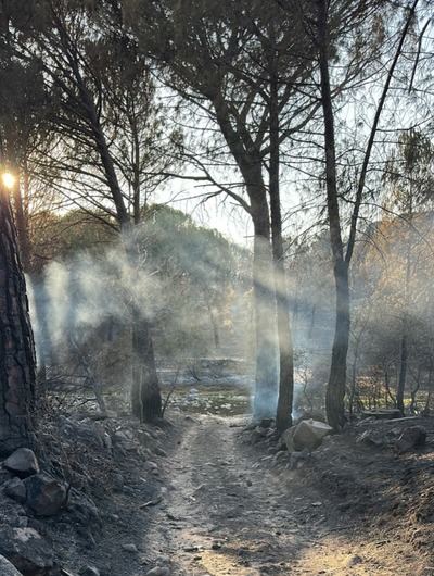 La Iglesuela del Tiétar, uno de los pueblos más golpeados por el incendio: "Lo hemos pasado muy mal"
