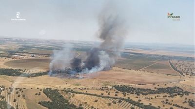 Un incendio en Malpica de Tajo obliga a activar el Nivel 1